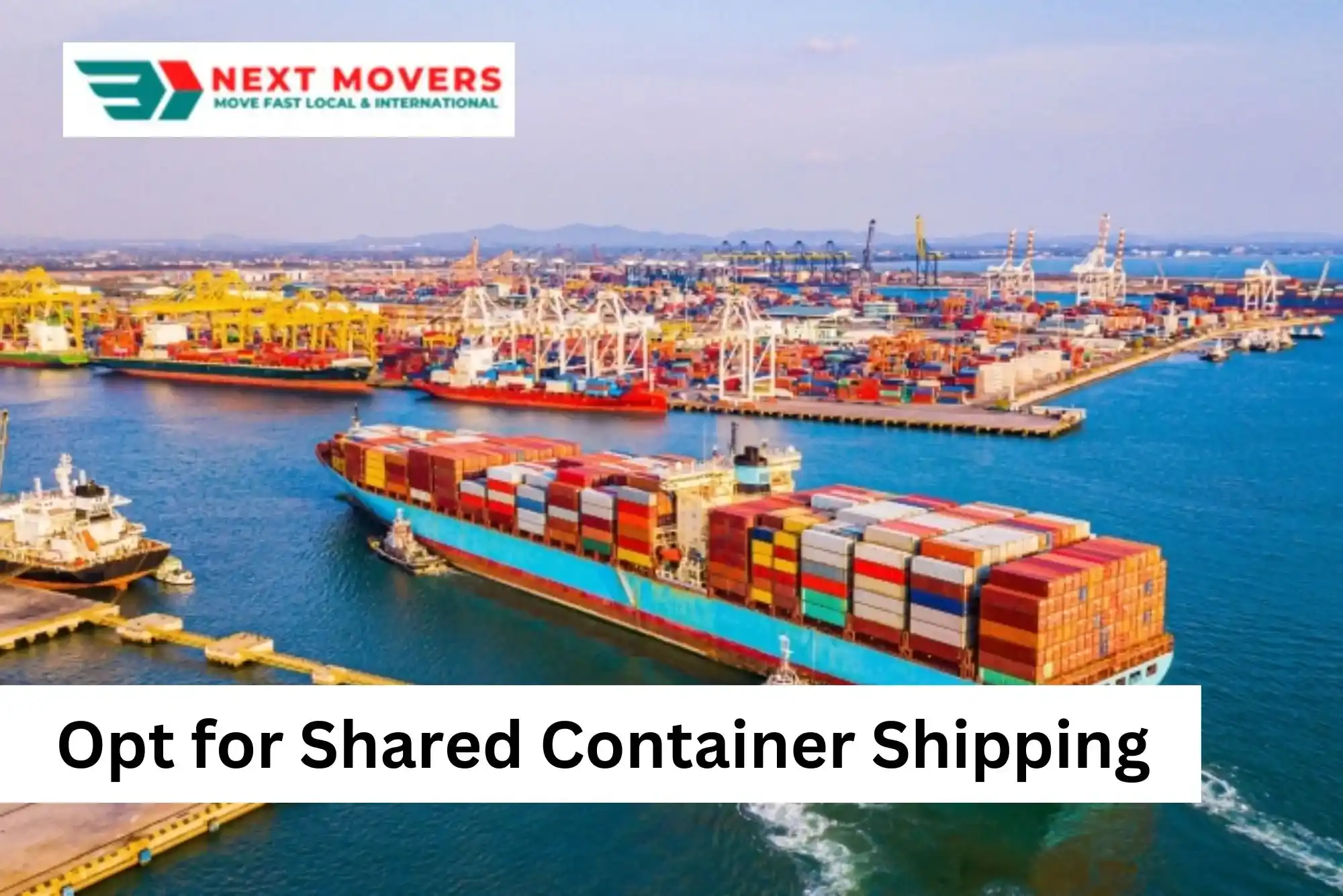 Opt for Shared Container Shipping