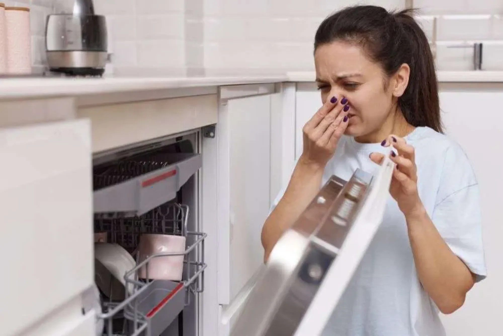 How to Fix Dishwasher That Smells Like Sewer