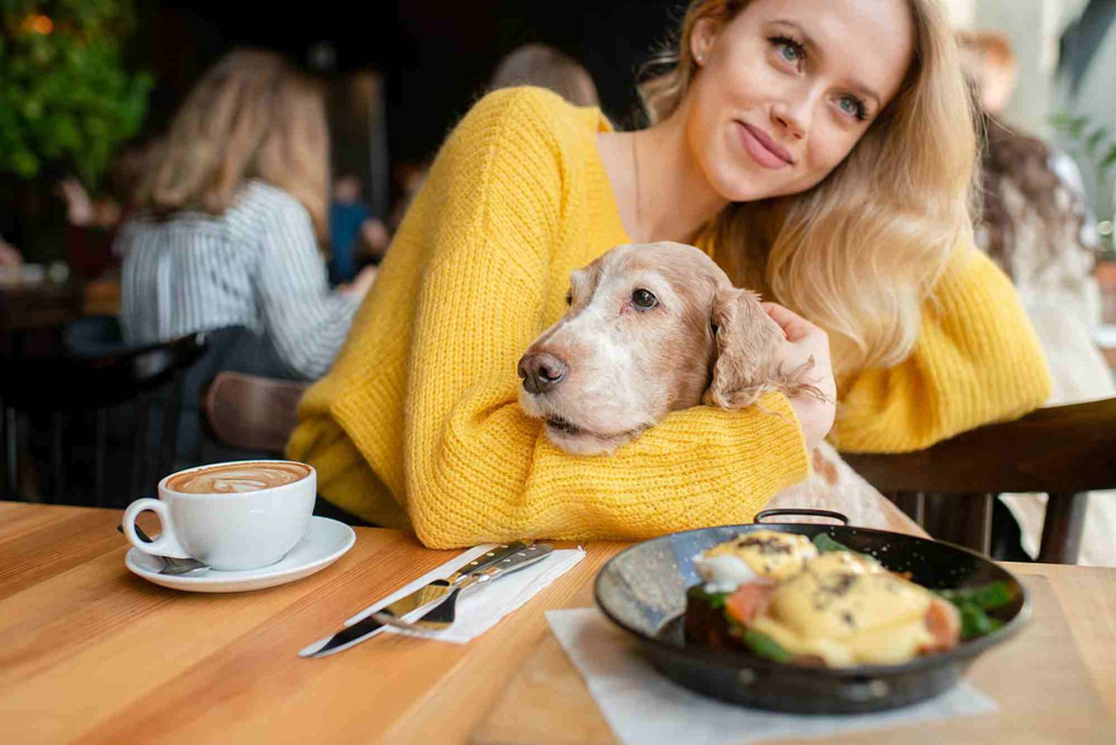 Top 10 Dog-Friendly Cafes and Outdoor Restaurants in Dubai