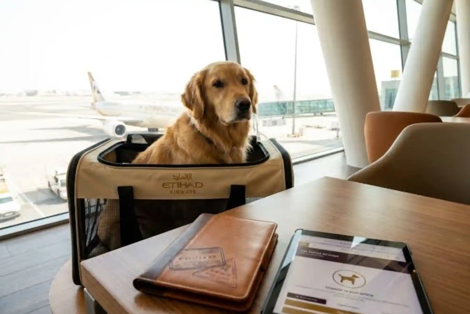 Traveling on Etihad and Emirates with Falcon, Cat or Dog: Official Baggage Policy
